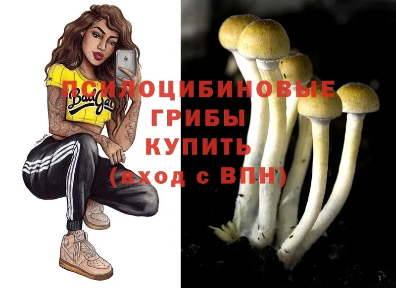 Галлюциногенные грибы MAGIC MUSHROOMS  купить  цена  Новоульяновск 